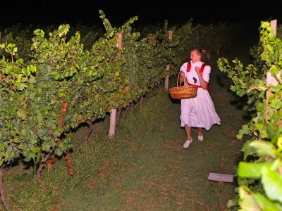 Vinska kuća Pavlomir