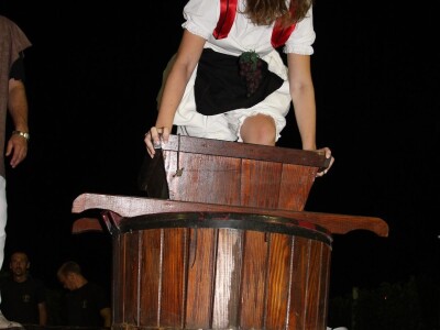 Vinska kuća Pavlomir