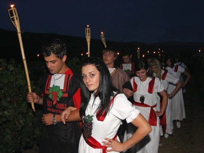 Vinska kuća Pavlomir