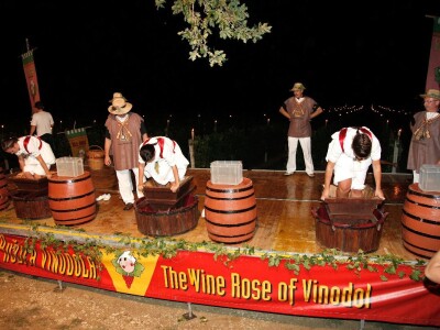 Vinska kuća Pavlomir