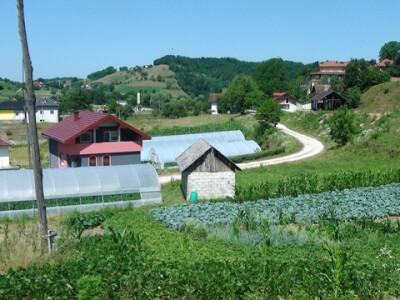 sadikovic7 sadikovic7