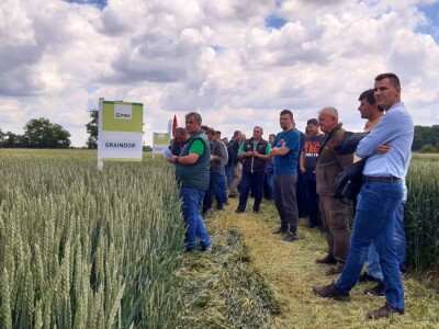 RWA dan polja pšenice Račinovci RWA dan polja pšenice Račinovci