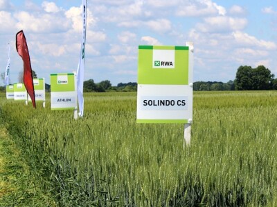 RWA dan polja pšenice Račinovci RWA dan polja pšenice Račinovci