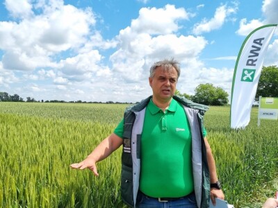 RWA dan polja pšenice Račinovci RWA dan polja pšenice Račinovci