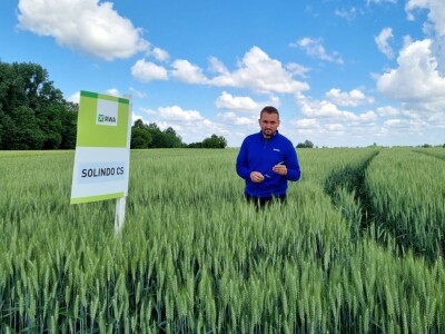 RWA dan polja pšenice Račinovci RWA dan polja pšenice Račinovci