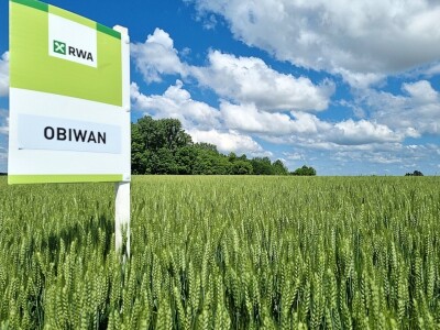 RWA dan polja pšenice Račinovci RWA dan polja pšenice Račinovci