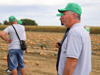 RWA Dan polja uljnih tikvi