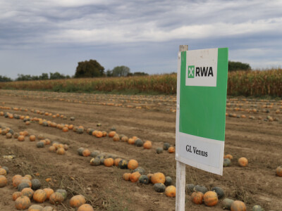 RWA Dan polja uljnih tikvi