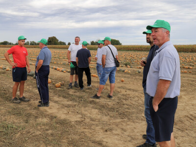 RWA Dan polja uljnih tikvi