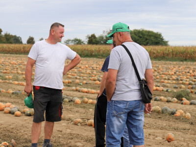 RWA Dan polja uljnih tikvi