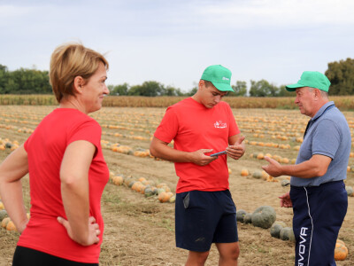 RWA Dan polja uljnih tikvi