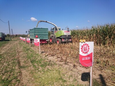 RWA hibrid kukuruza LG 30.500