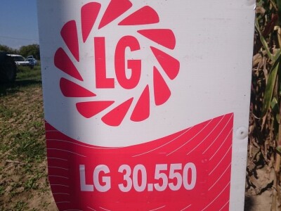 RWA hibrid kukuruza LG 30.500