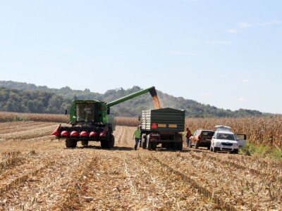 RWA hibridi - Koprivnica, rujan 2018. RWA hibridi - Koprivnica, rujan 2018.