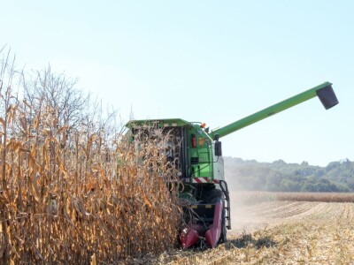 RWA hibridi - Koprivnica, rujan 2018. RWA hibridi - Koprivnica, rujan 2018.