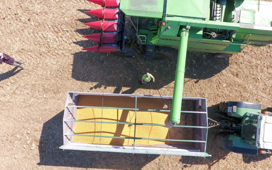 fv