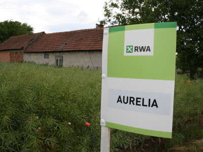 RWA hibridi uljane repice RWA hibridi uljane repice