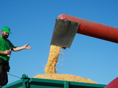 RWA Inclusiv Skoro kod OPG Miklin Davora RWA Inclusiv Skoro kod OPG Miklin Davora