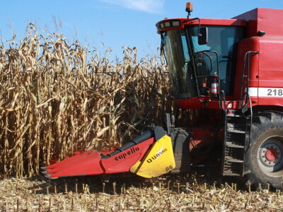 RWA Inclusiv Skoro kod OPG Miklin Davora RWA Inclusiv Skoro kod OPG Miklin Davora