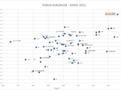 Pokus kukuruza RWA