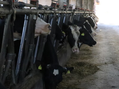 RWA Markešić, Hudovljani