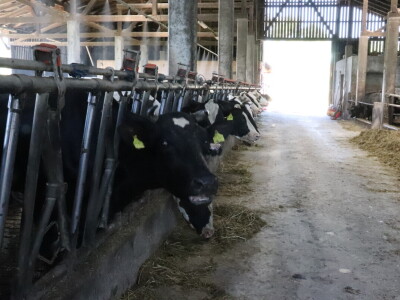 RWA Markešić, Hudovljani