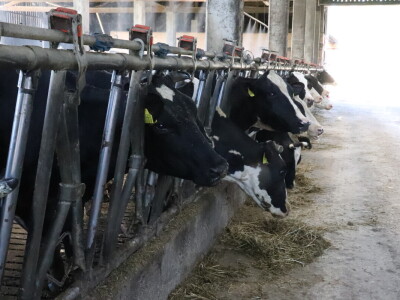 RWA Markešić, Hudovljani