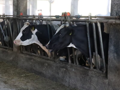 RWA Markešić, Hudovljani