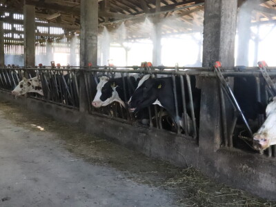 RWA Markešić, Hudovljani