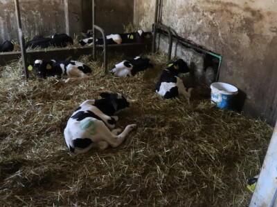 RWA Markešić, Hudovljani