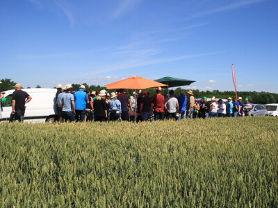 RWA pokus savjetodavne RWA pokus savjetodavne