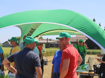 RWA pokus savjetodavne RWA pokus savjetodavne