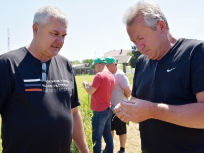 RWA pšenica Gudovac