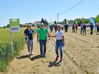 RWA pšenica Gudovac