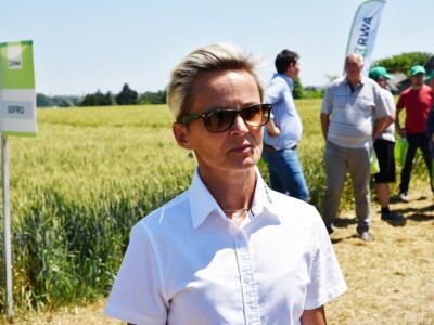 RWA pšenica Gudovac