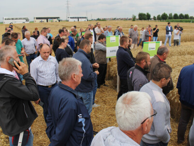 RWA Solindo pobjednik u pokusu kombinata Belje d.d. - prinos 9.910 kg po hektaru RWA Solindo pobjednik u pokusu kombinata Belje d.d. - prinos 9.910 kg po hektaru