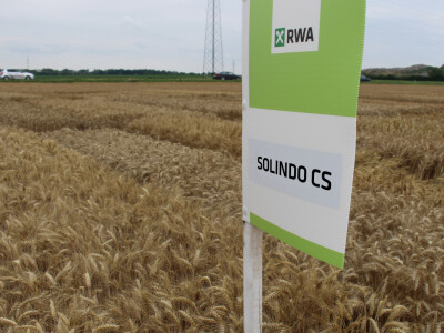 RWA Solindo pobjednik u pokusu kombinata Belje d.d. - prinos 9.910 kg po hektaru RWA Solindo pobjednik u pokusu kombinata Belje d.d. - prinos 9.910 kg po hektaru