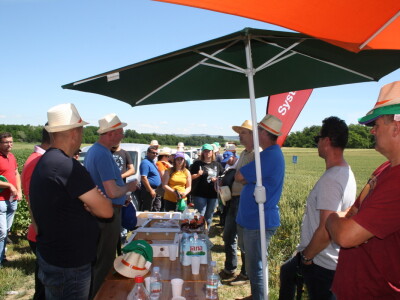 RWA sorte ozime pšenice