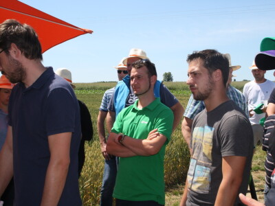 RWA sorte ozime pšenice