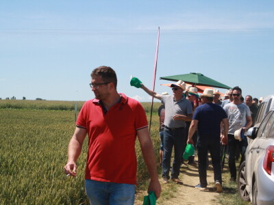 RWA sorte ozime pšenice