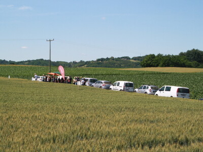 RWA sorte ozime pšenice