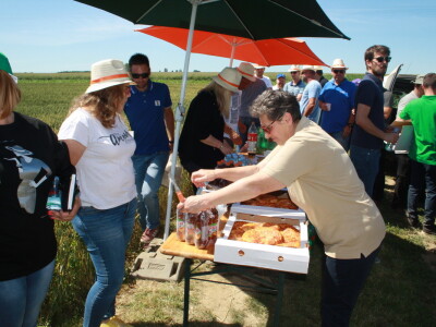 RWA sorte ozime pšenice