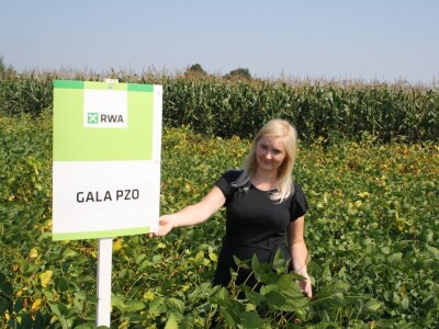 RWA sorte soje - pokus 2018. RWA sorte soje - pokus 2018.