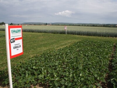 RWA sorte soje - pokus 2018. RWA sorte soje - pokus 2018.