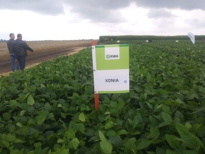 RWA sorte soje - pokus 2018. RWA sorte soje - pokus 2018.