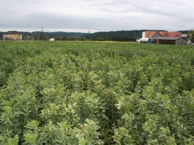 RWA stočni bob - posjeta tvrtki Saatzucht Gleisdorfer