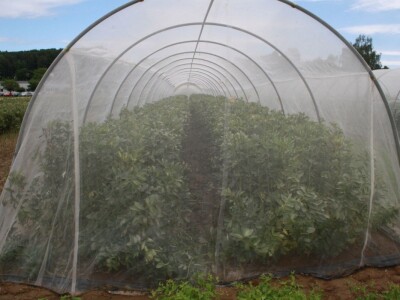 RWA stočni bob - posjeta tvrtki Saatzucht Gleisdorfer