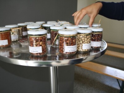 RWA stočni bob - posjeta tvrtki Saatzucht Gleisdorfer