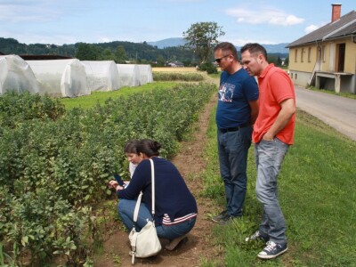 RWA stočni bob - posjeta tvrtki Saatzucht Gleisdorfer