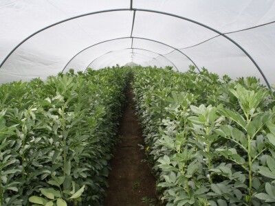 RWA stočni bob - posjeta tvrtki Saatzucht Gleisdorfer